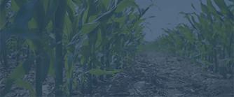 Commodities